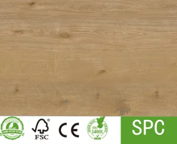 Sound Barriers for Office Cubicles Floor