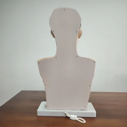 DARHMMY Transparent PVC Medical Gastric Lavage Training Model