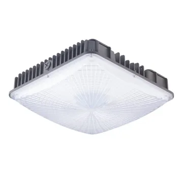 50W Canopy Lights Led Kit IP65