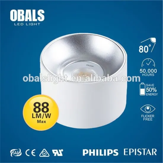 13w led downlight ce&rohs&saa JLR-ZX05M module