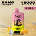 Best Disposable Pod Brands Bang Vape Leader 45k Puff