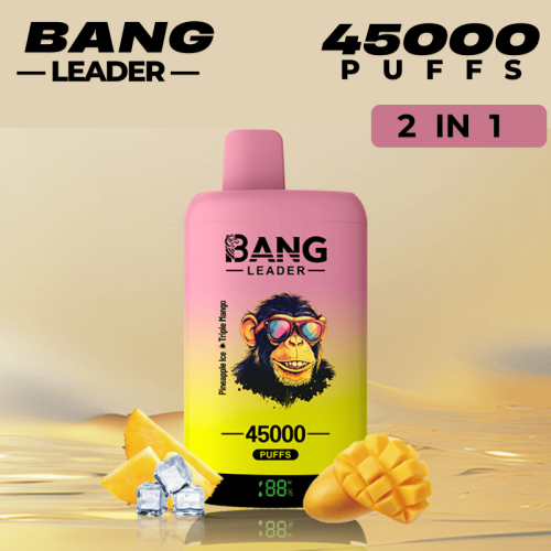 Best Disposable Pod Brands Bang Vape Leader 45k Puff