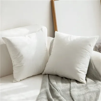 King Size Soft Duck Goose Down Pillows