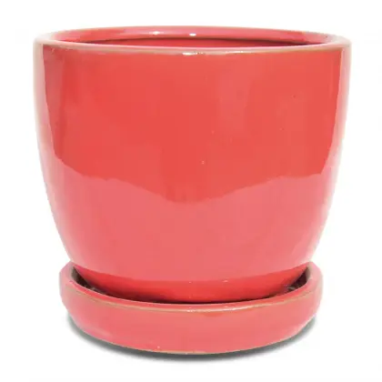 Nordic Glazed Modern Bonsai Pot Ceramic Egg Pot