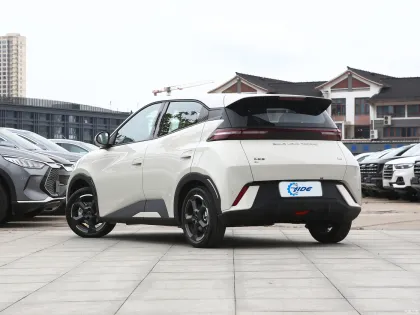 BYD Seagull  EV Cars Pure Electric Mini/Small Cars  New Energy Vehicles Flying/Freedom/Vitailty Version