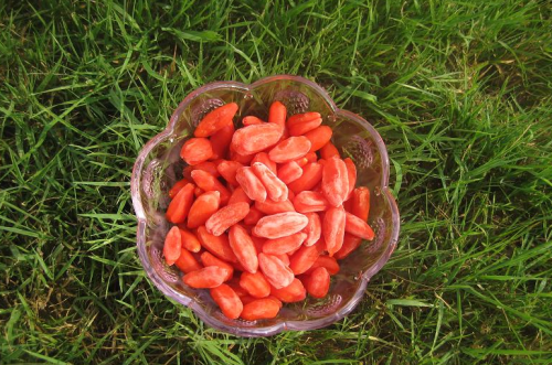 Bacca di Goji essiccata Ningxia