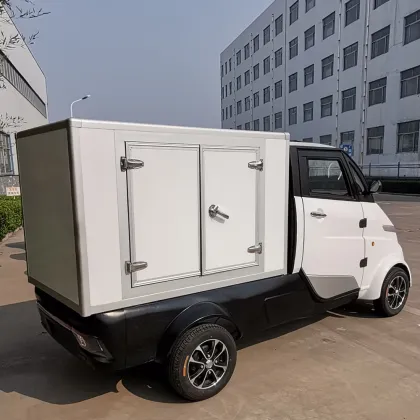 Brand New EEC Electric Logistics Car for Hot Sale