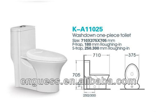 washdown one piece toilet