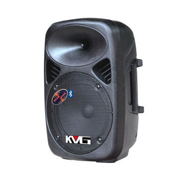 Temeisheng Professional 8 Inch Active Plastic Studio Monitor Speaker Boxes