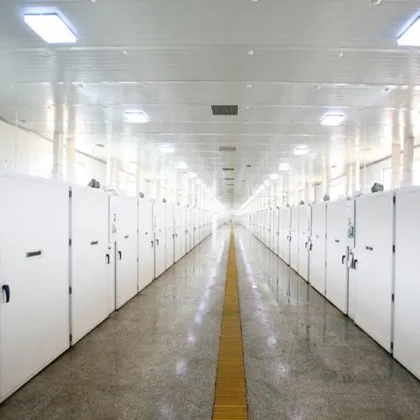 Industry use egg incubator