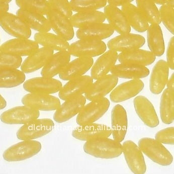 golden rice
