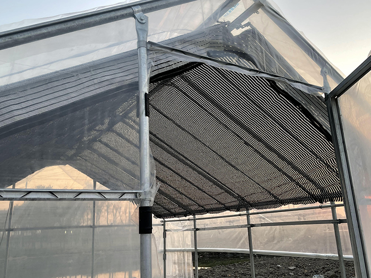 Poly Tunnel Garden Walk in Greenhouse garden