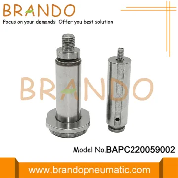 Water Solenoid Valve Armature for 2W 2S Solenoid Valve