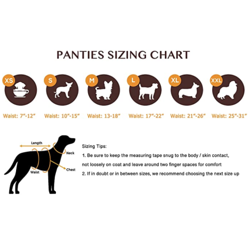 Pantie Sanitasi Anjing dengan Suspender