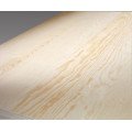 Furniture grade white natural birch maple veneered Plywood