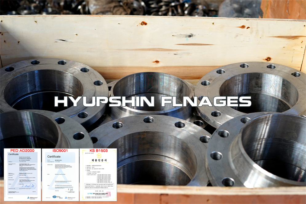 Hyupshin Flanges Weld Neck Rf Pn10 Pn16 Pn25 Pn40