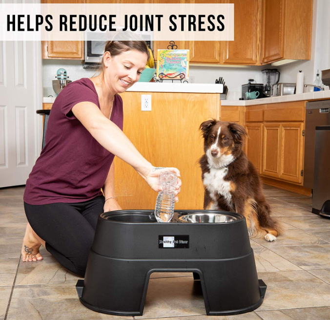 Elevated Dog Food Dish