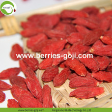 Fuente de la fábrica Productos naturales de fruta a granel Bayas de Goji