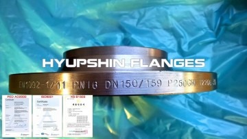 EN1092-1 PN16 Weld Neck WNRF Forging Flanges