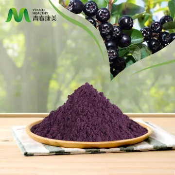 Black Fruit Acanthopanax Extract for Anti-Inflammatory Raw Material