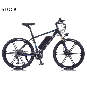 Caricatore Ebike della ruota anteriore montata a portata posteriore con motori doppi e display a colori