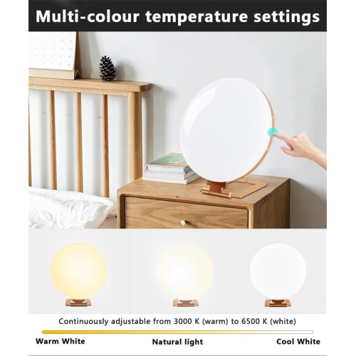 Lampe à lumière du jour Amazon Hot Sale LED