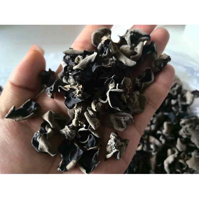 Fungo de orelha de madeira ensacada preta