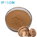 poudre de champignon shiitake Polysaccharides 50%