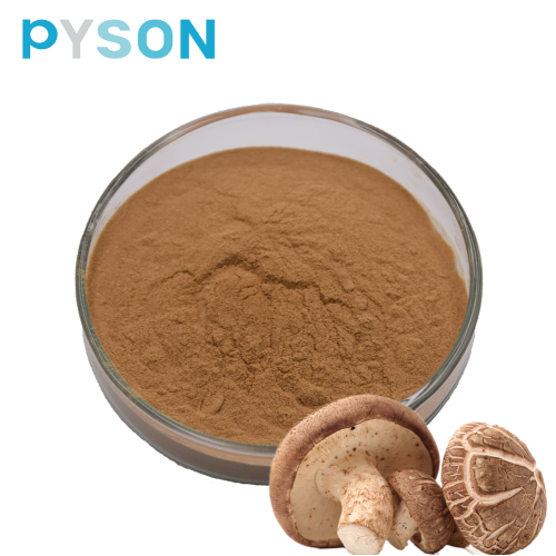 Shiitake-Pilzpulver Polysaccharide 50%