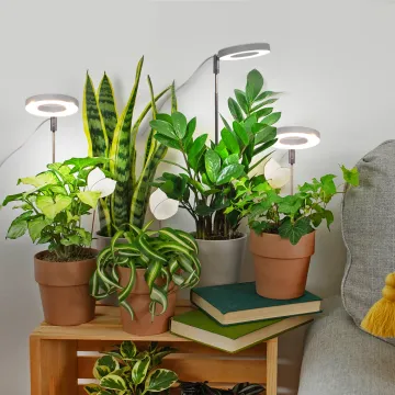 USB LED Grow Light Indoor Smart Pots Plant Decorative Planter Portable Garden Mini Ring
