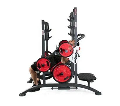 Adjustable Shoulder Press Bench Multi Functional Power Tower