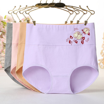 2022 New Style High Waist Cheap Printed Cotton Women's Underwear with Custom Logo Panties