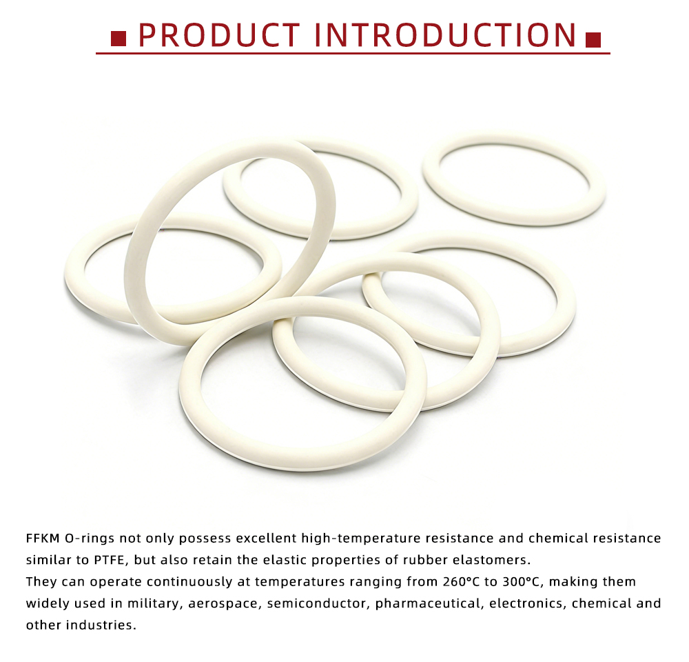 White Perfluoroether FFKM O-Ring Seals x