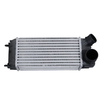 OEM Aluminium Intercooler for Ford Fiesta 1589068