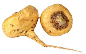 maca extract