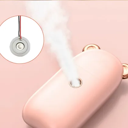 Atomizer Plate For Moisturizing Sprayer