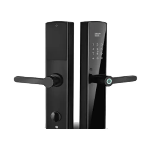 Smart cloud biometric lock