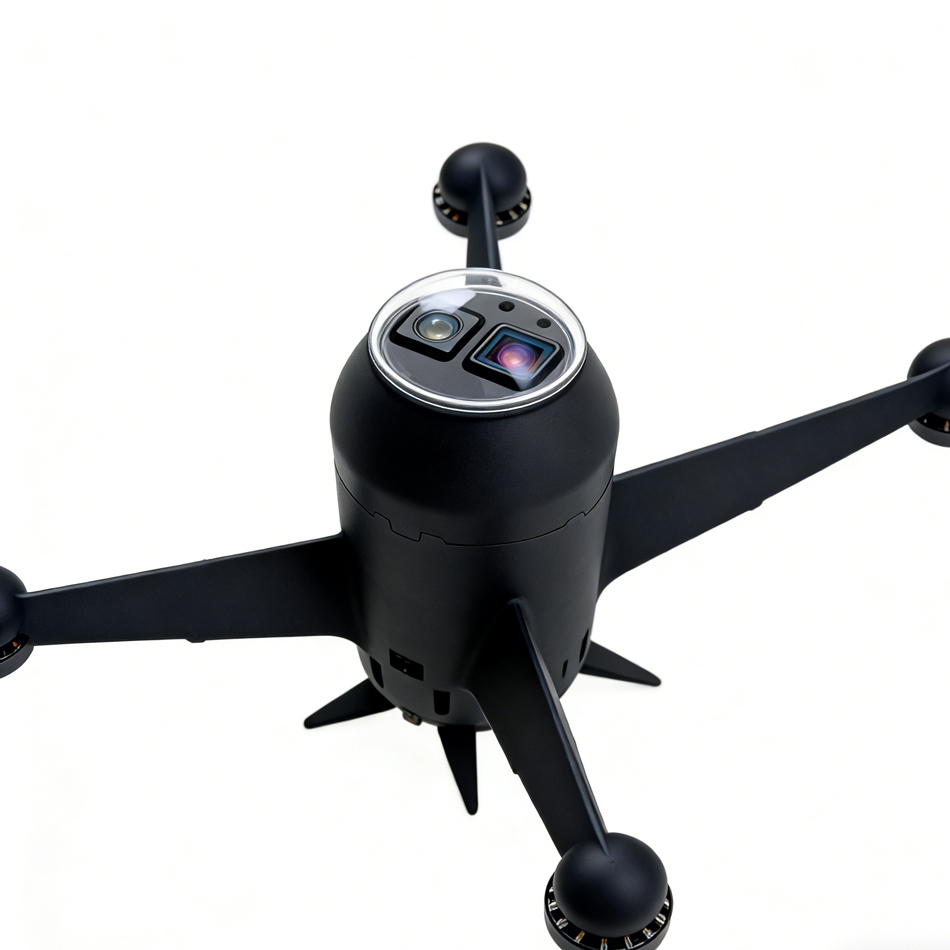 Cruise drone