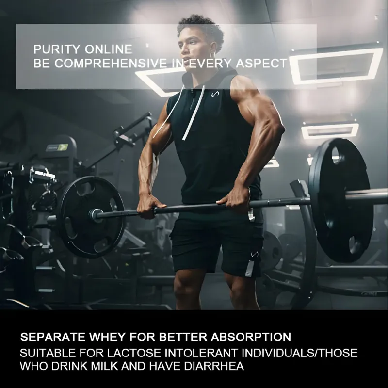 High Quality Whey Protein Powder Wholesale