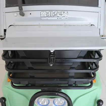 Elderly mobility electric vehicles