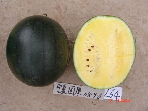 Yellow flash watermelon seeds