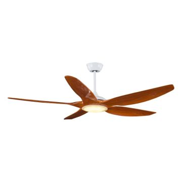 60-inch Modern Decorative Fan Lamp with 6-Blades
