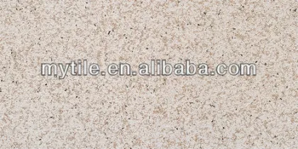 Exterior Glazed Wall Tiles Waterproof 300x600MM Tiles