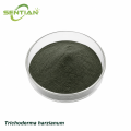 Trichoderma harzianum Biological Fungicide for Soil Disease
