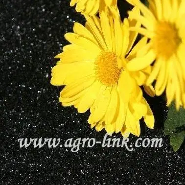 Based on Mass Customization different specifications Potassium Humate