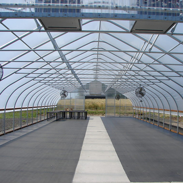 Premium Metal Frame Greenhouse with Rolling Benches for All Seasons