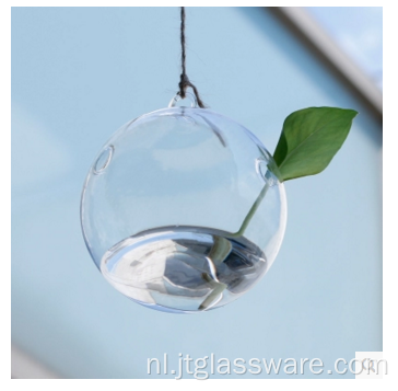 Hangend glazen terrarium Mooie creatieve glazen vaas