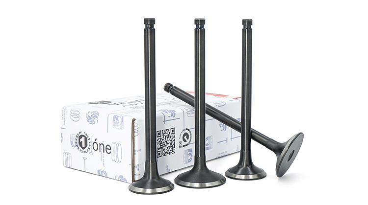 MITSUBISHI 4D33 Engine Valves 
