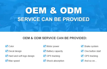 Overseas Warehouse Professional Manufacturers: Electric Vehicle Controller, EBike Battery Controller