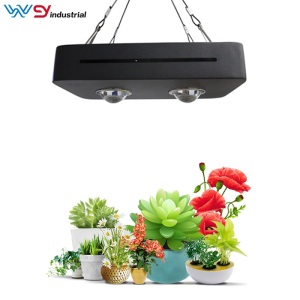 COB Grow light for seedlings